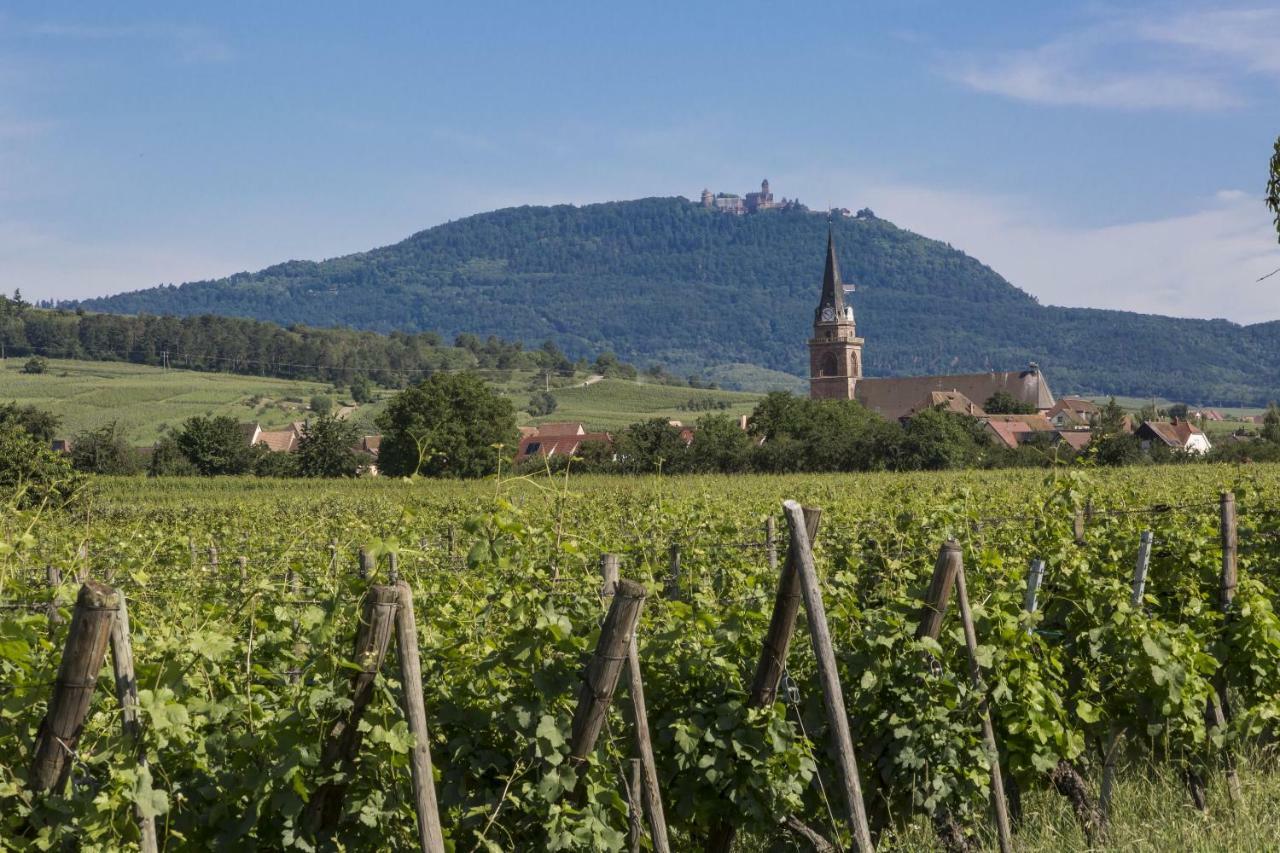 Residence Odalys Le Domaine Des Rois Bergheim Dış mekan fotoğraf